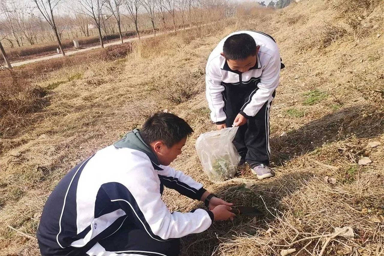 鲁故城遗址探春小获