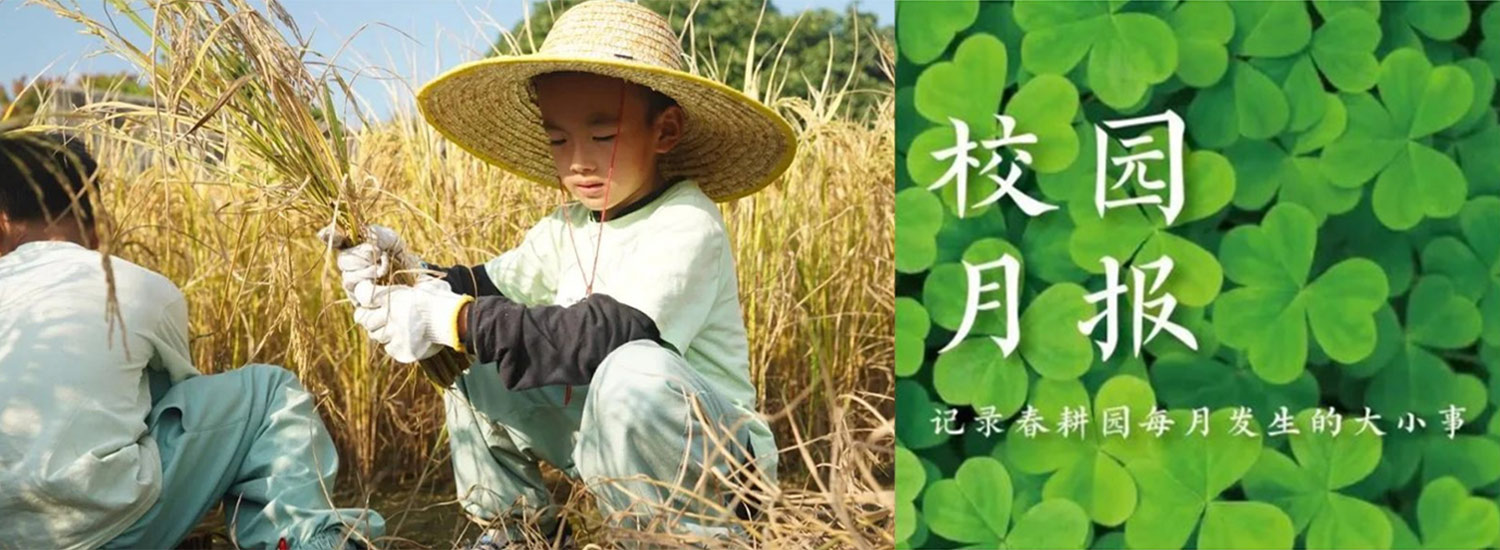 春耕园传统文化学校2023年11月校园月报