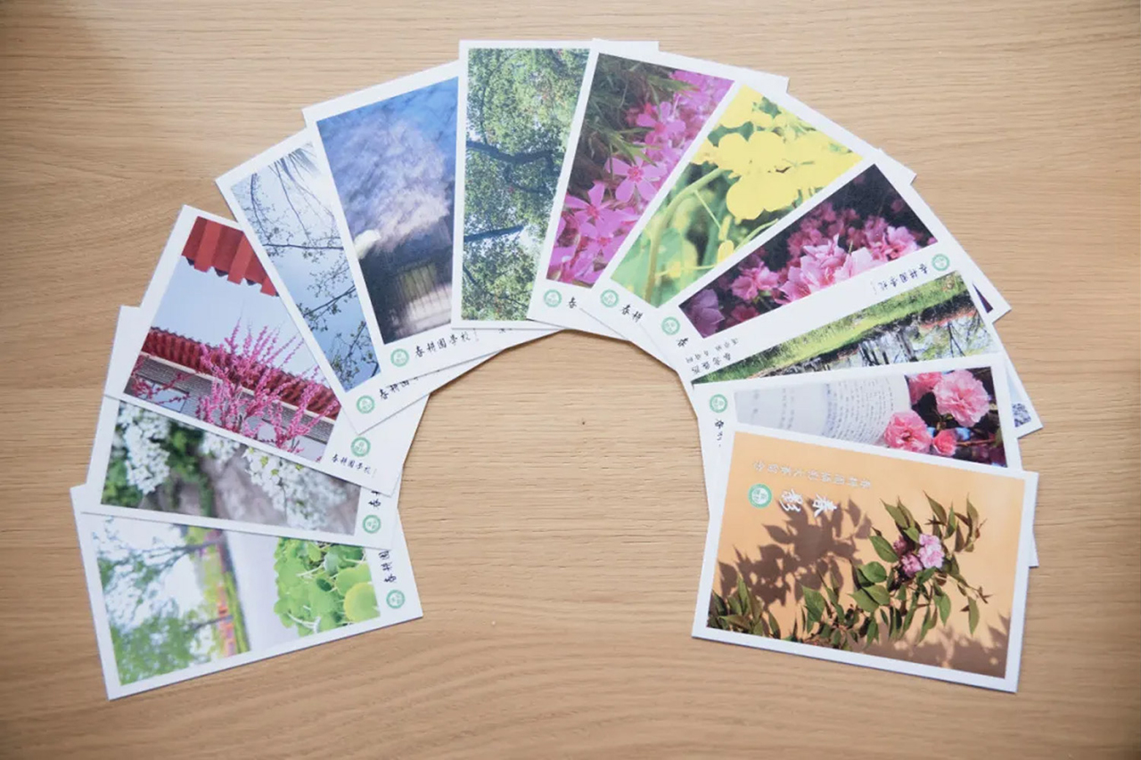 春耕园学校摄影大赛落下帷幕：赏花赏景拍摄，不负美好春光