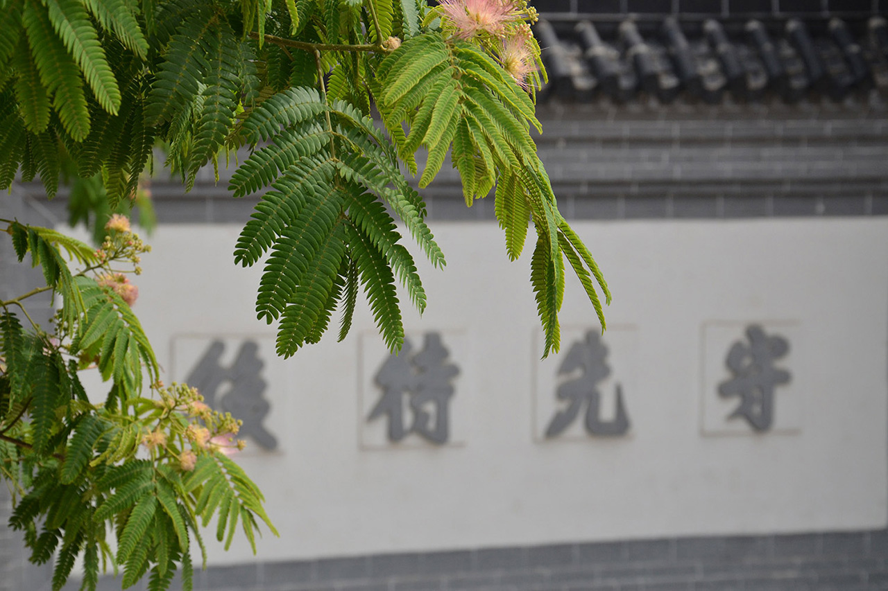 我们应该为传统文化做些什么？